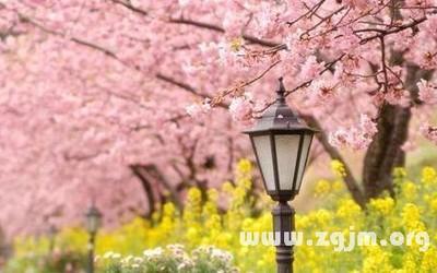 氧气占星2025年12月射手座运势