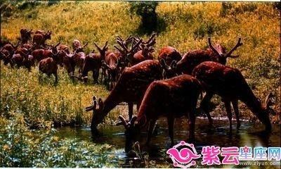 氧气占星2025年12月金牛座运势