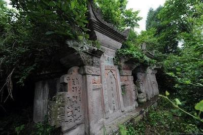 植物对墓地风水有何影响植物与风水的联系 植物对墓地风水有何影响植物与风水的联系