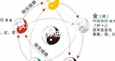 法令纹深的女人命苦吗 女人法令纹深代表着什么