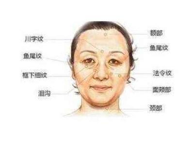 法令纹面相图解 有法令纹意味着什么