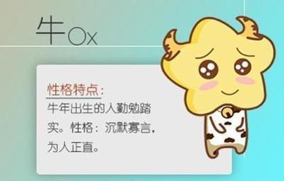 水命的女人特点(水命女人就是财命)