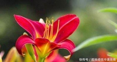 注定孤独一生的3大生肖 什么生肖的人会孤独