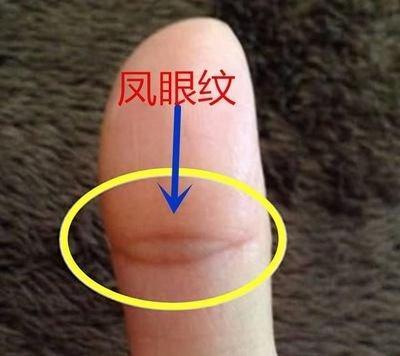 注定富贵命的手掌是什么样子钱财运好