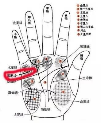 注定富贵命的手掌是什么样子钱财运好