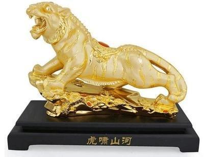 永不言败才是这些生肖的本性超有毅力