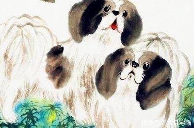 正偏财出色 收入稳定不用为了钱发愁的三个生肖