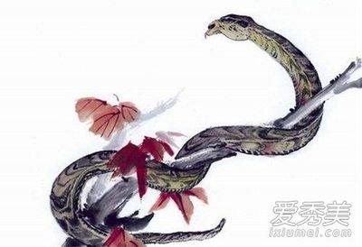 正月出生属蛇人的命运怎么样 属蛇人正月出生好吗