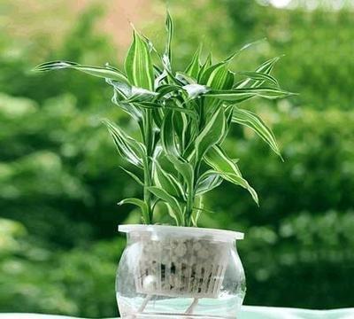 温馨提示：办公室风水最不能得罪的星座