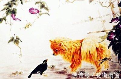 洞察力强的生肖 什么生肖最会察言观色