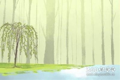 滴天居士2025年4月生肖猪运势