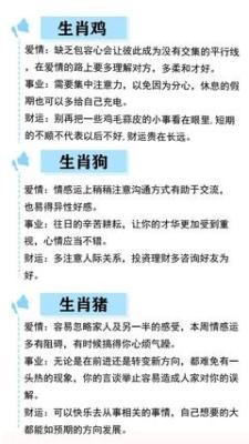 滴天居士2026年8月生肖猪运势