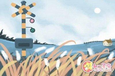 滴天居士2025年8月生肖羊运势