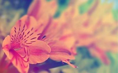 爱上一个人后不顾自尊的生肖感情中很盲目