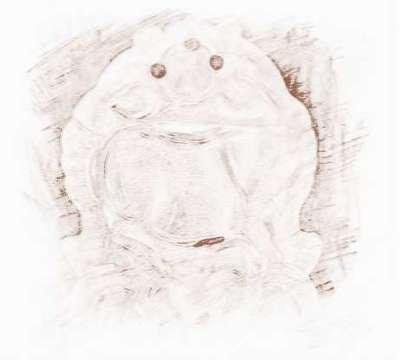 滴天居士2025年9月生肖猪运势