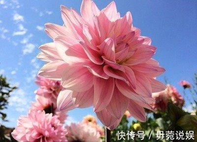 爱你就会虐你的生肖男 他们让人又爱又恨