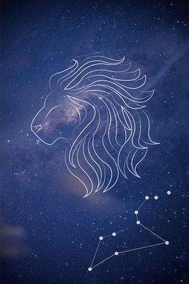 狮子座12星座2025年运势驾到