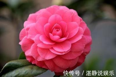 爱化妆的生肖 不化妆不敢出门的生肖
