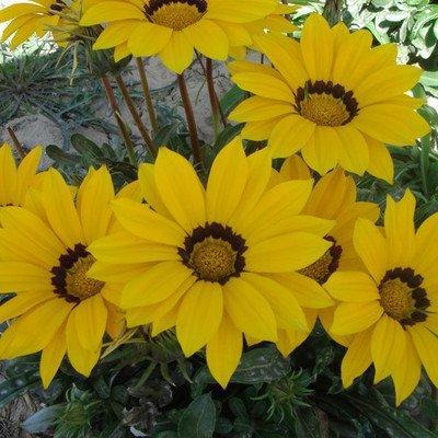 漂亮又旺夫的面相有这三种 说说旺夫女人的样子