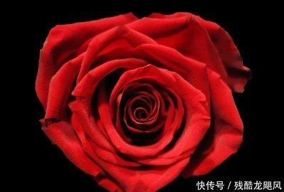 爱情中付出多收获少的生肖 这几个生肖爱得太卑微