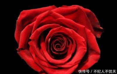 爱情中付出多收获少的生肖 这几个生肖爱得太卑微