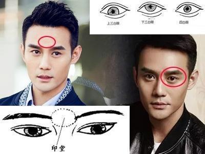浓眉毛的男人面相 男人眉毛浓说明了什么