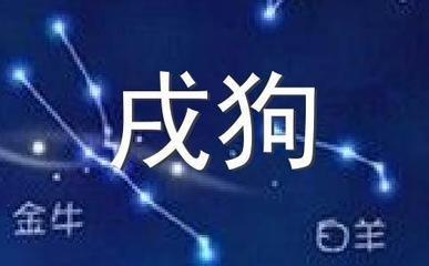 浮图塔2025年11月生肖狗运势