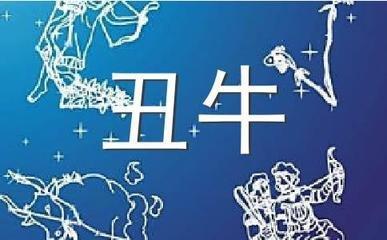 浮图塔2025年12月份生肖牛运程