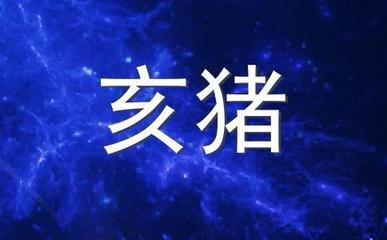 浮图塔2025年12月生肖猪运势详解