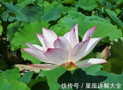 爱挑刺的生肖女 很挑剔的生肖女是哪几个