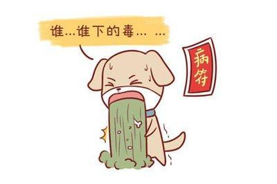 爱炫耀的生肖 哪些生肖生活中很爱显摆