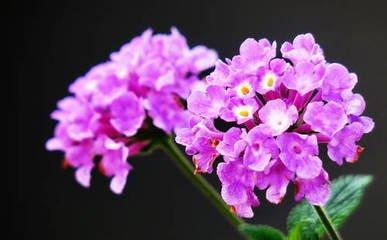 爱花钱的女人八字 什么女人特别花钱大手大脚