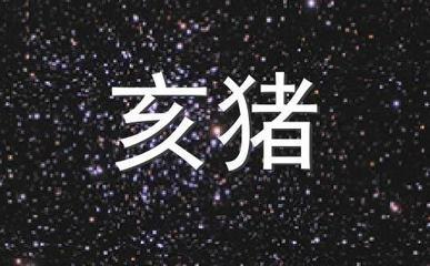 浮图塔2025年9月生肖猪运势精华版