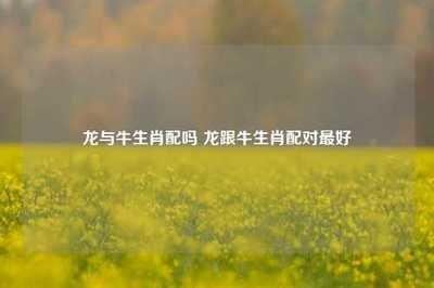 牛和什么生肖合得来 哪几个生肖更适合属牛人
