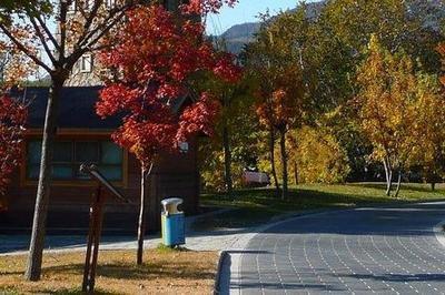 海百合2026年白羊座运势精华版