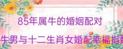 牛男婚配生肖 属牛男与什么生肖配对好