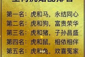 牛的配对属相婚配表 什么生肖更配属牛人