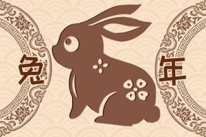 淘运阁狮犬守珠是什么,属兔的人2025年吉祥物