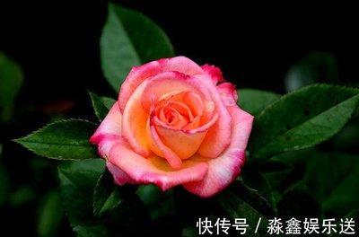 特别爱哭的生肖男 他们是感性还是懦弱