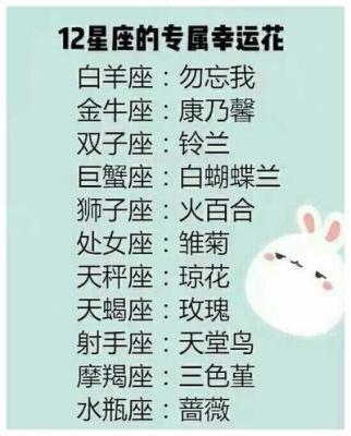 狮子座配对星座,狮子座与12星座配对