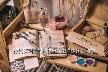 猜生肖喜欢喝酒的动物 盘点爱喝酒的生肖