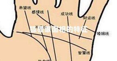 狐狸眼的人运势好吗 狐狸眼面相分析
