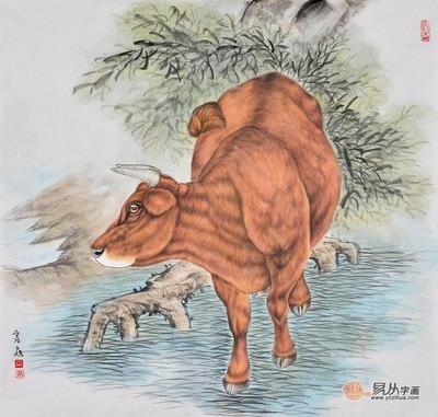 猪和牛合不合(猪和牛合不合适结婚)