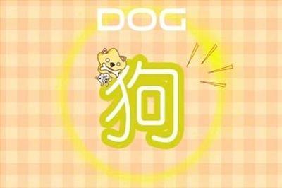 狗和什么生肖合  属狗人与哪几个生肖配对好