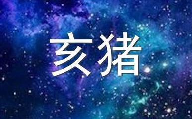 猪生肖2025年运势详解 生肖猪在蛇年有好运吗