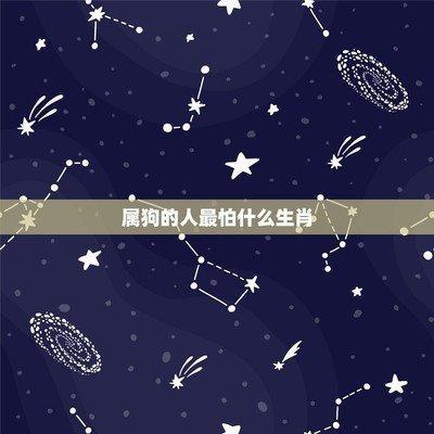 狗最怕的是什么生肖 属狗人的克星是哪几个