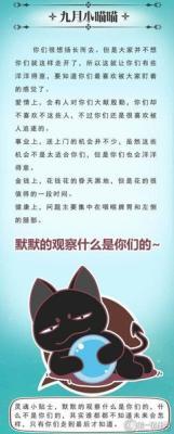 猫石对话2025年9月运势精华版