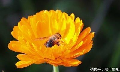 生肖鼠真爱在什么地点出现 属鼠人哪里能遇到真爱