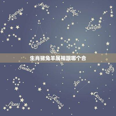 生肖猪的最佳配对生肖是什么相爱一生