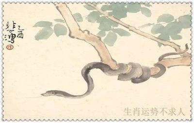生肖猪的贵人属相 猪的克星是什么生肖